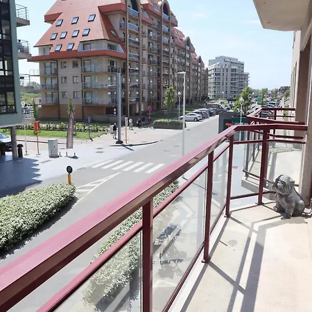 In Near The ניופורט