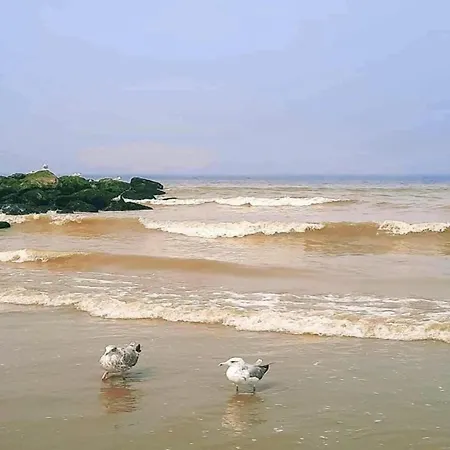 Appartement In Near The *