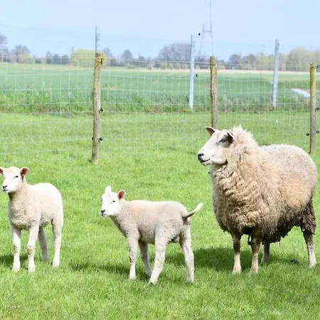 In Near The * Nieuwpoort