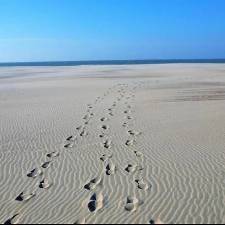 In Near The Appartement *