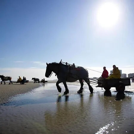 In Near The Appartement Nieuwpoort