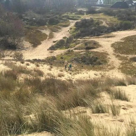 In Near The Appartement