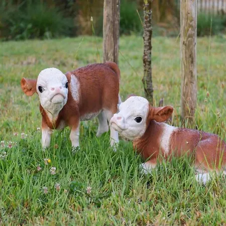 In Near The דירה