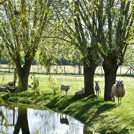 Appartement In Near The