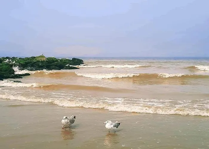 Apartmán In Near The *