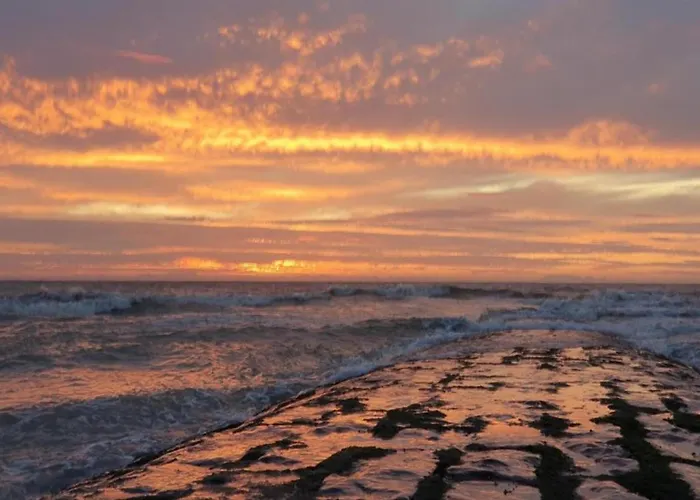 Apartmán In Near The