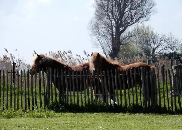 In Near The Apartmán Nieuwpoort