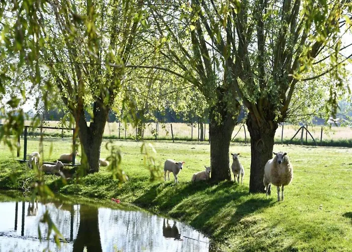 Apartmán In Near The